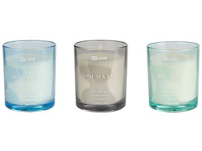 Sæt med 3 duftlys Sheer joy Sojavoks Friske noter 1 sæt