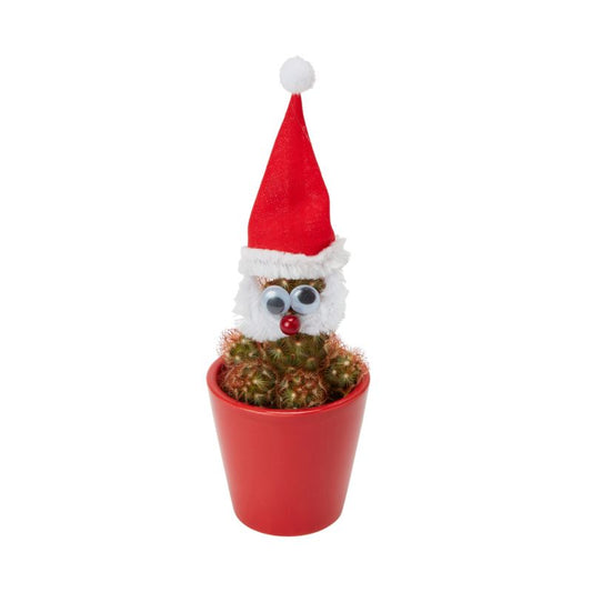 Christmas Mikołaj mix sæt 5,5 cm