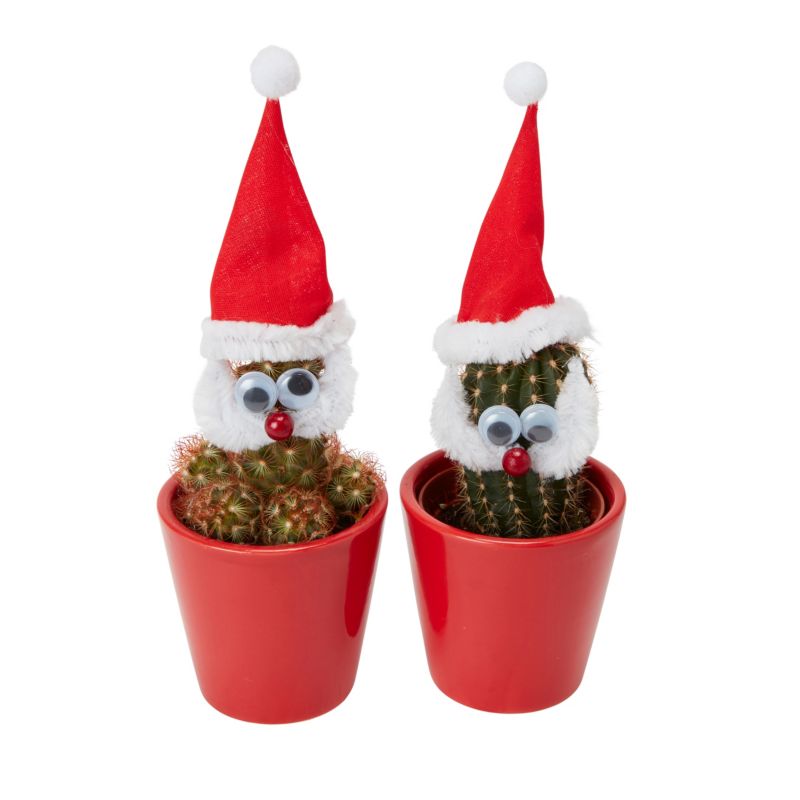 Christmas Mikołaj mix sæt 5,5 cm