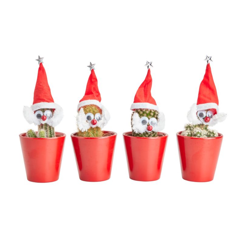 Christmas Mikołaj mix sæt 5,5 cm