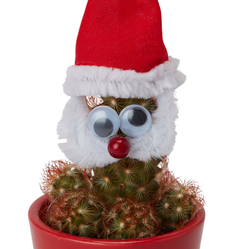 Christmas Mikołaj mix sæt 5,5 cm