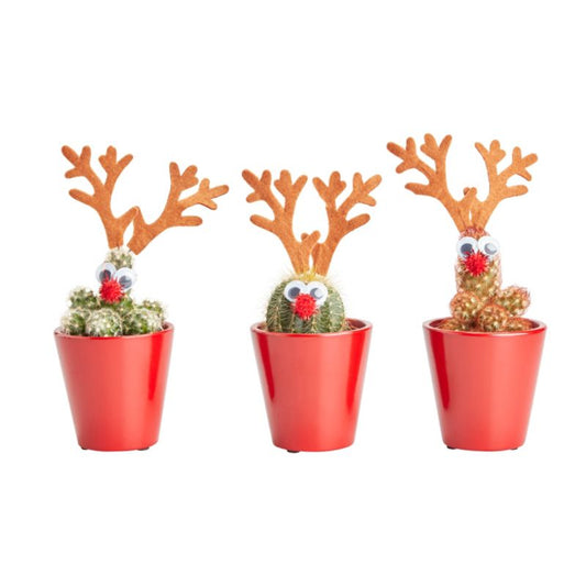 Sæt Christmas rensdyr mix 5,5 cm