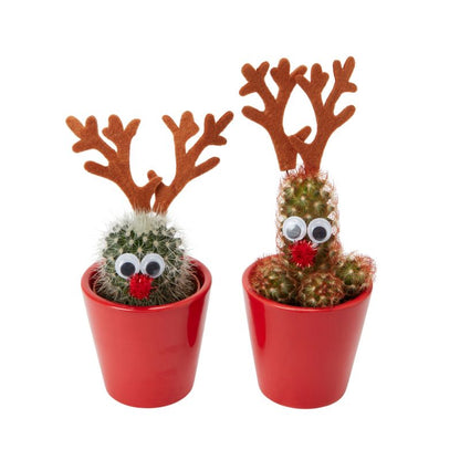 Sæt Christmas rensdyr mix 5,5 cm
