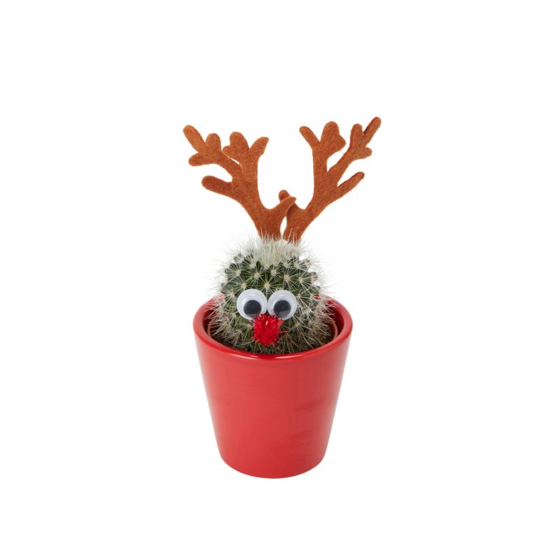 Sæt Christmas rensdyr mix 5,5 cm