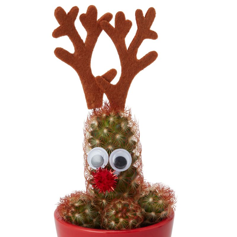 Sæt Christmas rensdyr mix 5,5 cm