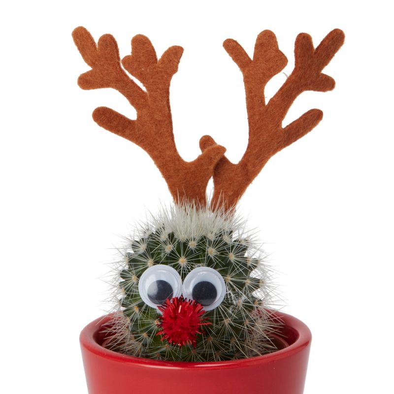 Sæt Christmas rensdyr mix 5,5 cm