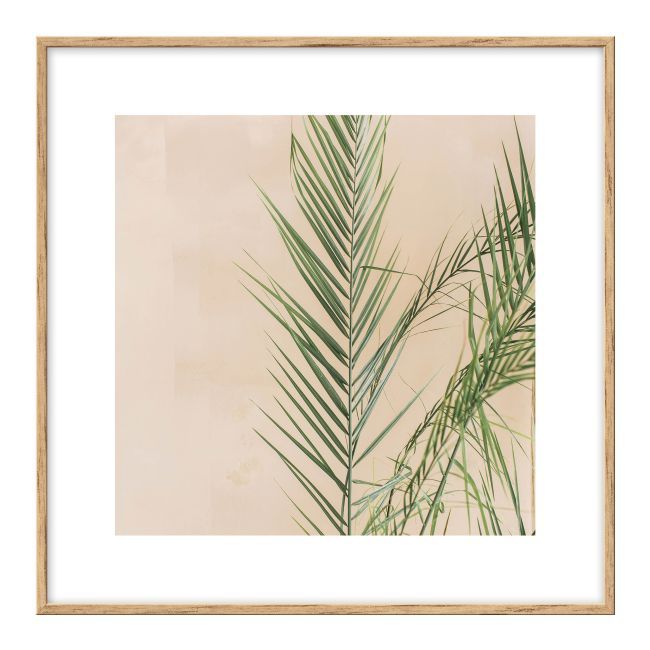 Sæt med billeder Palme og kaktusser 20 x 20 cm, 3 stk.