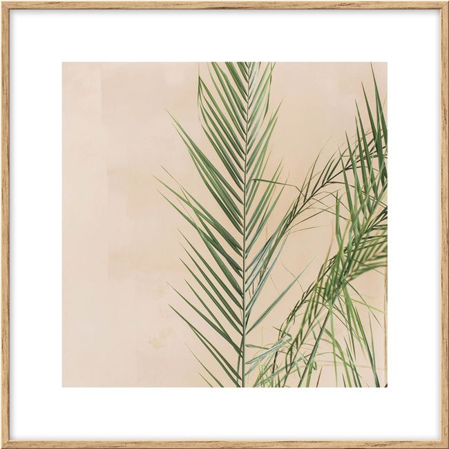 Sæt med billeder Palme og kaktusser 20 x 20 cm, 3 stk.