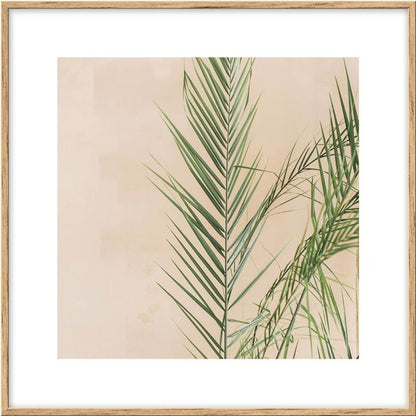 Sæt med billeder Palme og kaktusser 20 x 20 cm, 3 stk.
