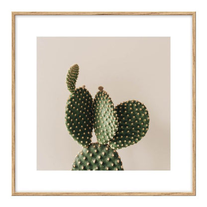 Sæt med billeder Palme og kaktusser 20 x 20 cm, 3 stk.